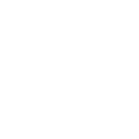 Alternate Text